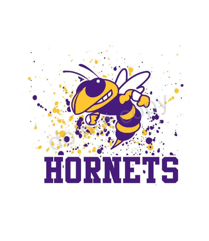 hornets football and cheer